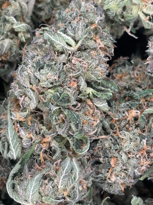 THCA Budget Indoor - Blue Zushi