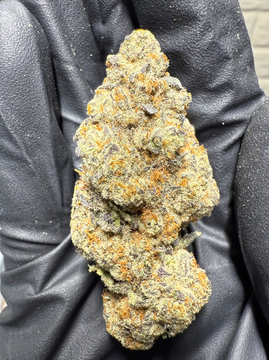 Glitter Bomb - AAA+ Indoor Living Soil
