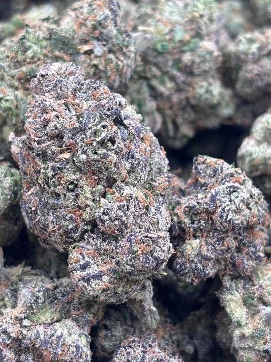 Premium Candy Indoor THCA Hemp - 41 Cherries