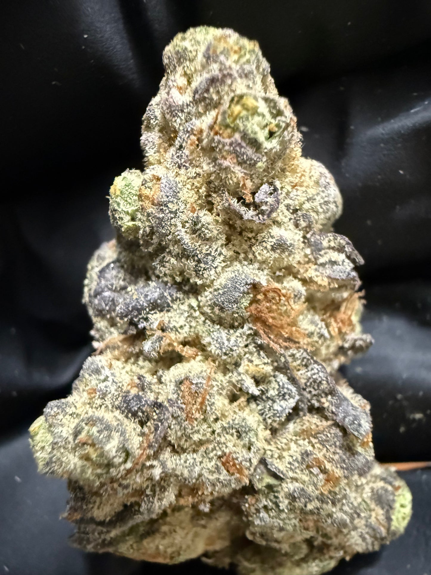 Premium Indoor THCA Hemp - Wedding Pie