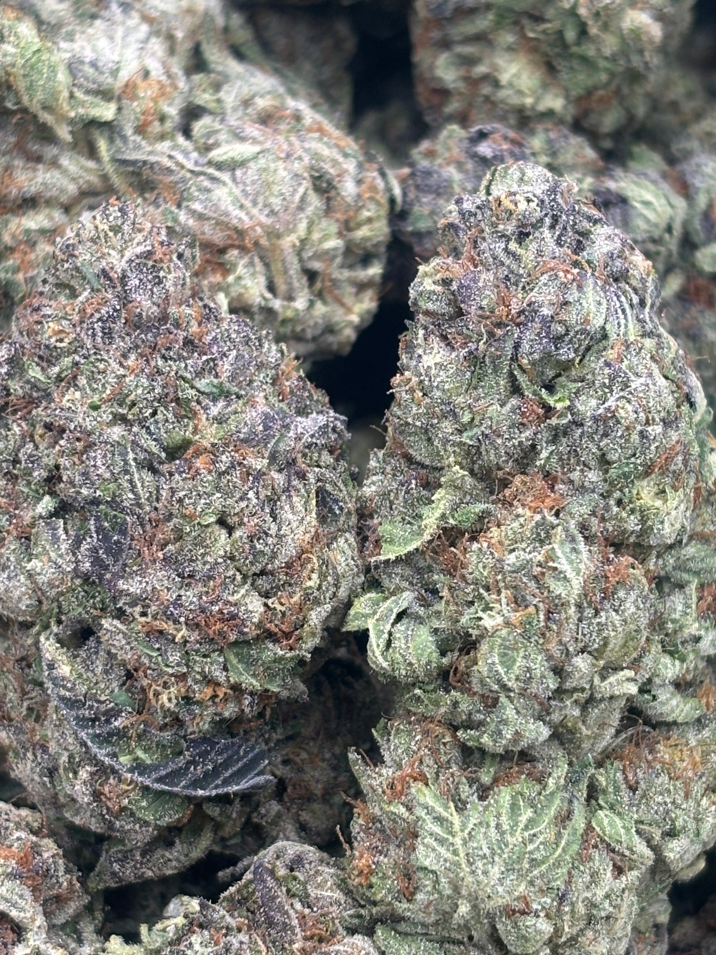 THCA Hemp Top Tier