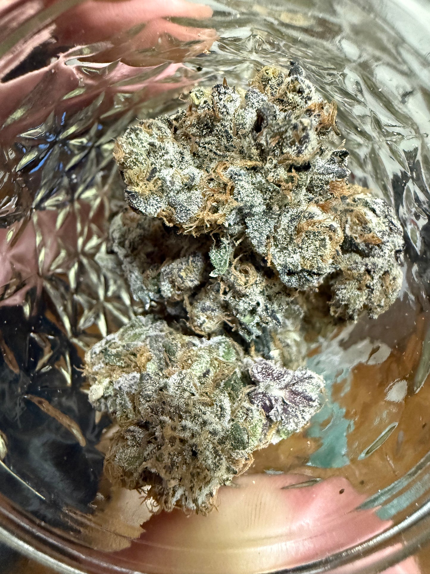 Premium Indoor THCA Hemp - Lemon Slam