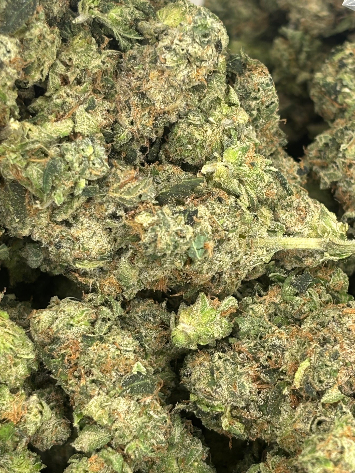 THCA Premium Indoor - GMO