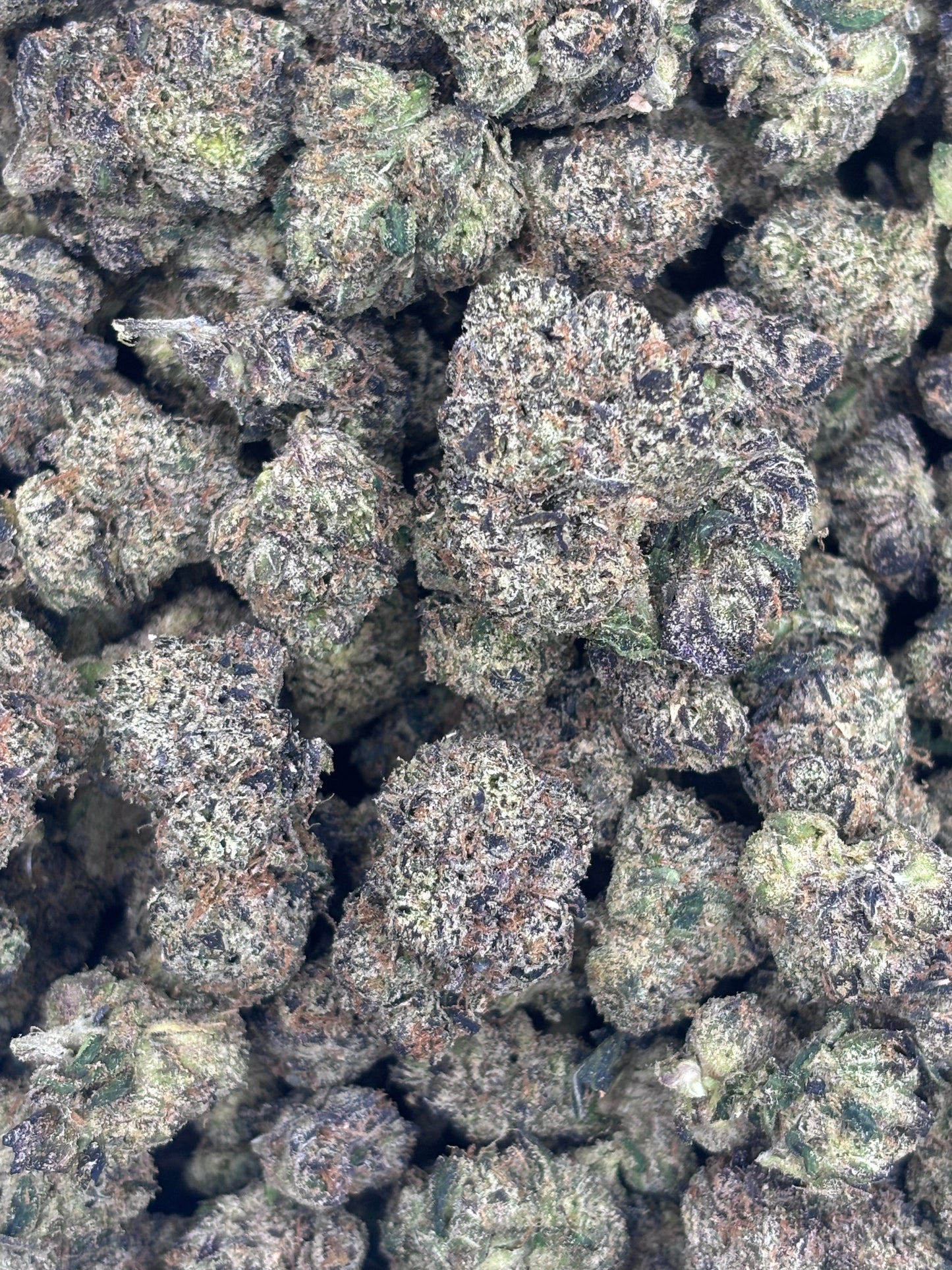 Premium Indoor THCA Hemp - BlackBerry Runts