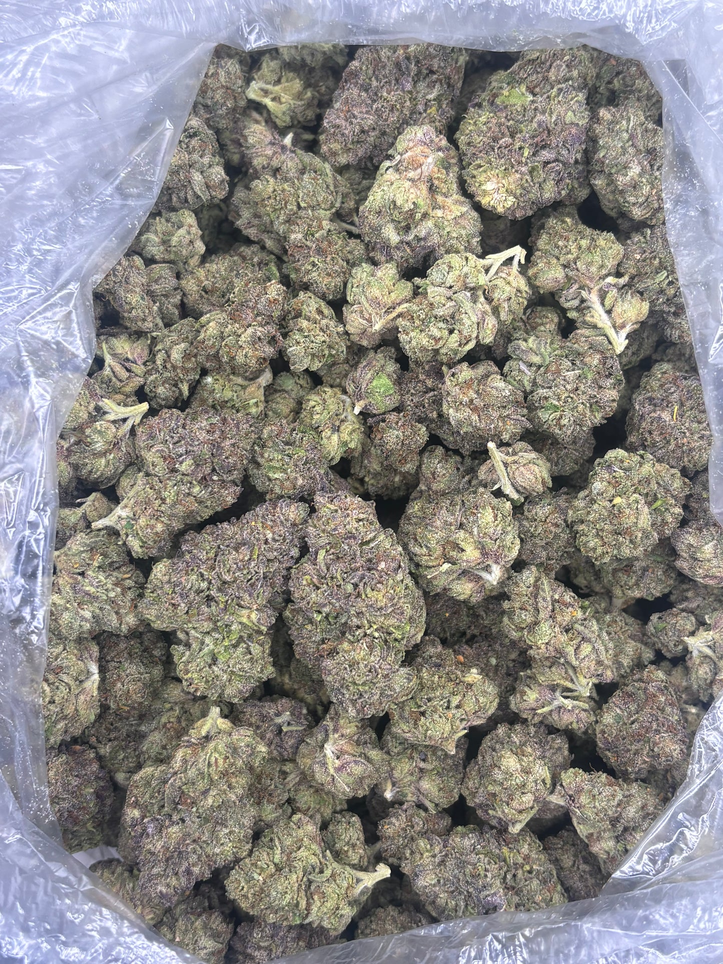 THCA Hemp - Gelato