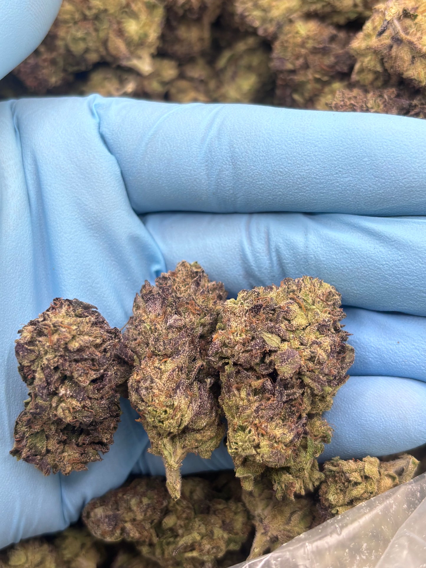 Light Dep THCA Hemp - Candy Gas