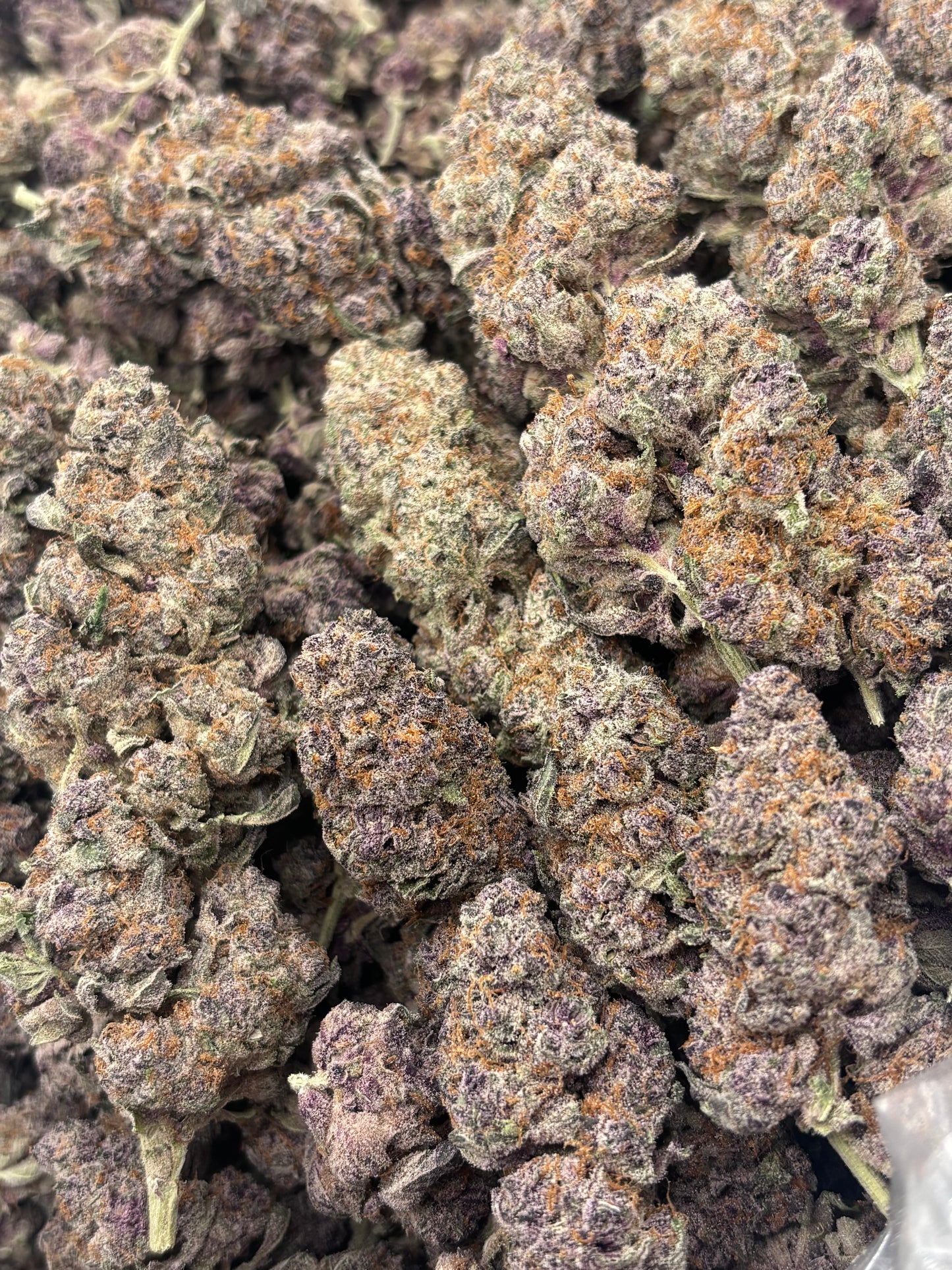 Premium Indoor THCA Hemp - Superboof Cherry