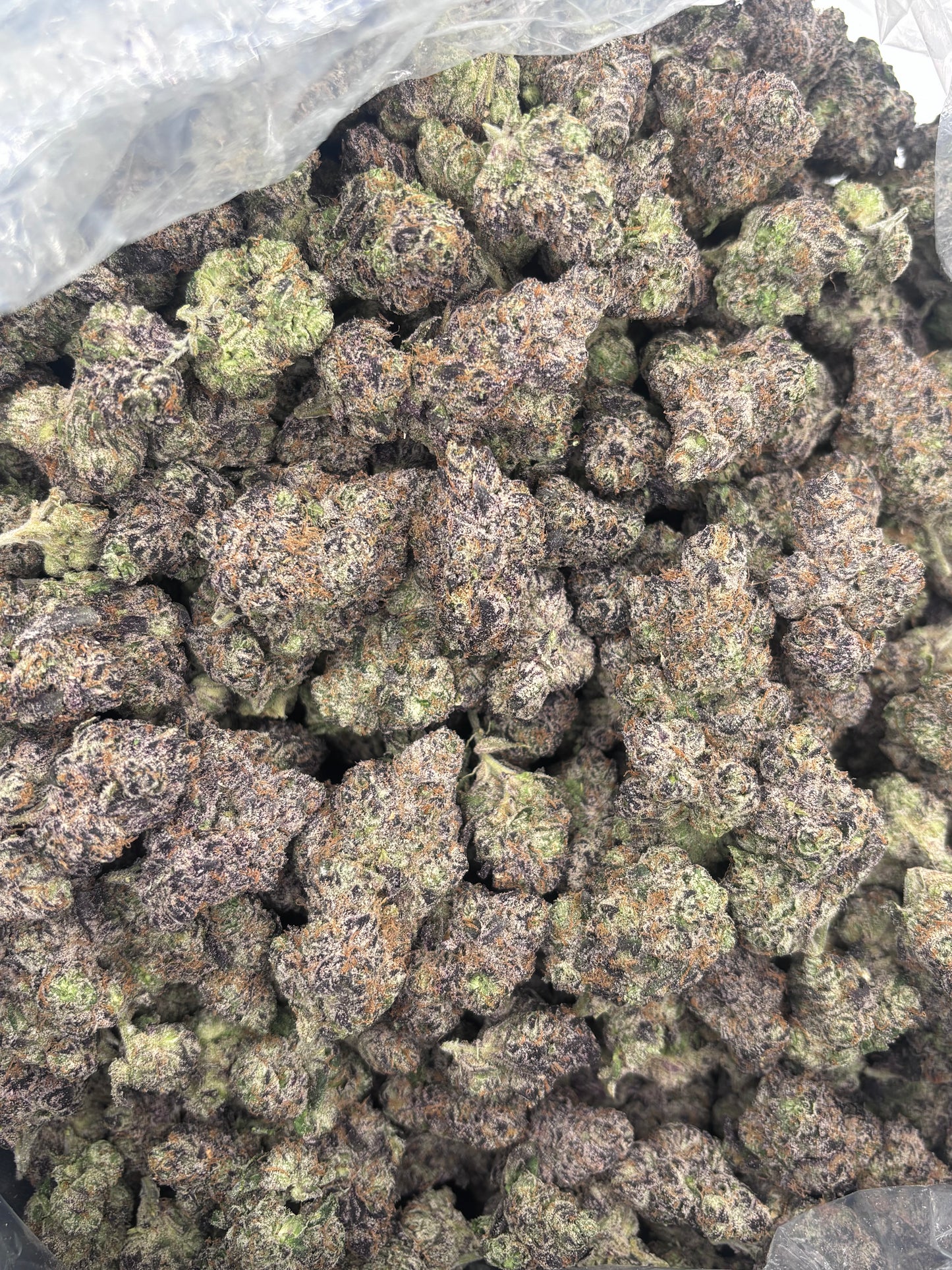 Premium Indoor THCA Hemp - Amalfi Lemons