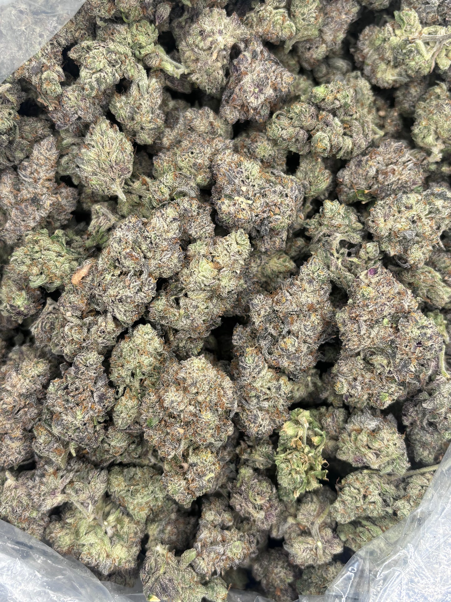 Premium Indoor THCA Hemp - Rocket Fuel