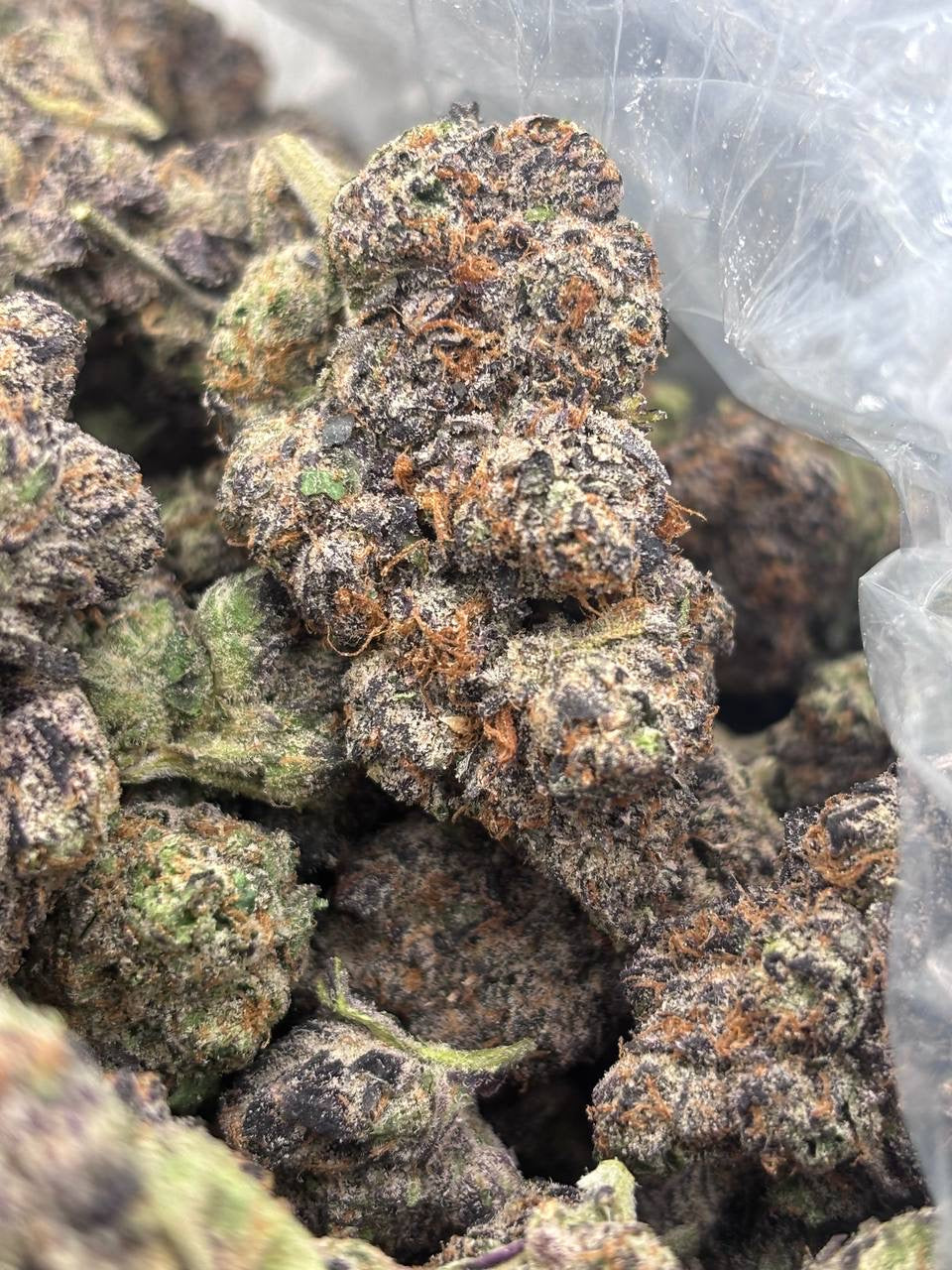 Premium Candy Indoor THCA Hemp - Wild Cherries