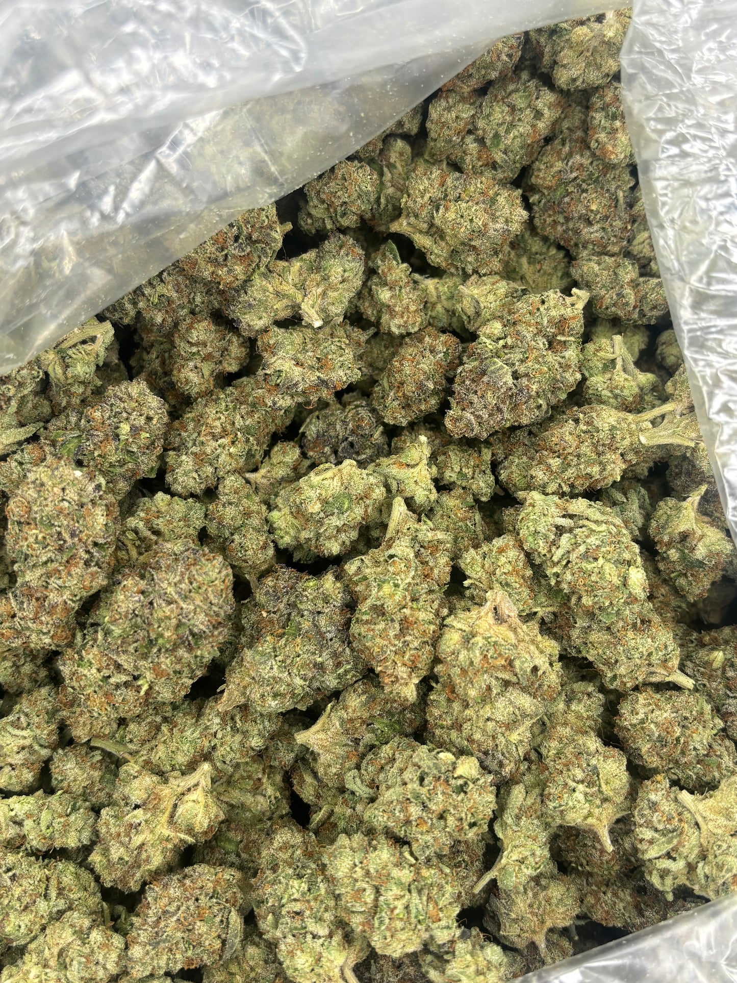 THCA Hemp - Jane Doe