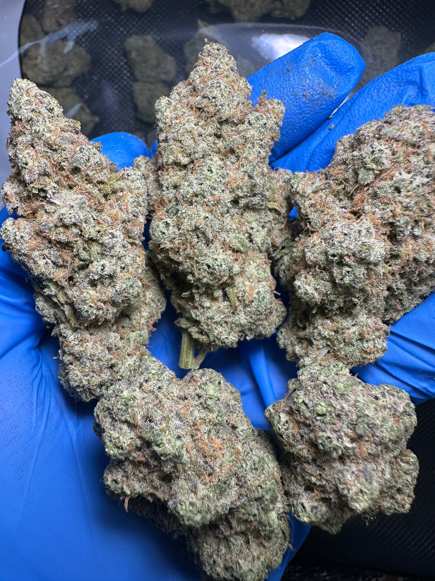 Premium THCA Flower 1/4 - 1LB