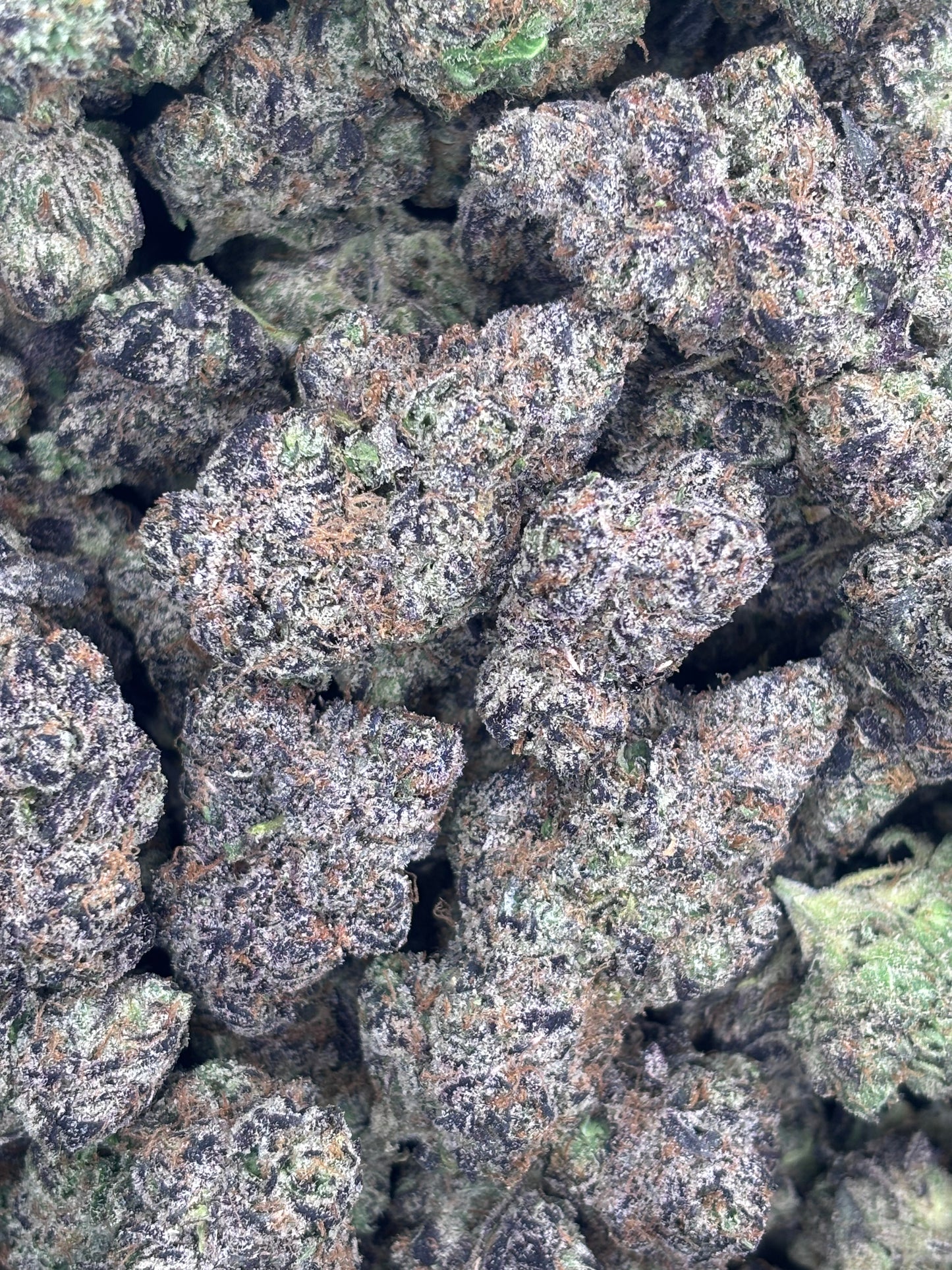 Premium Indoor THCA Hemp - Amalfi Lemons