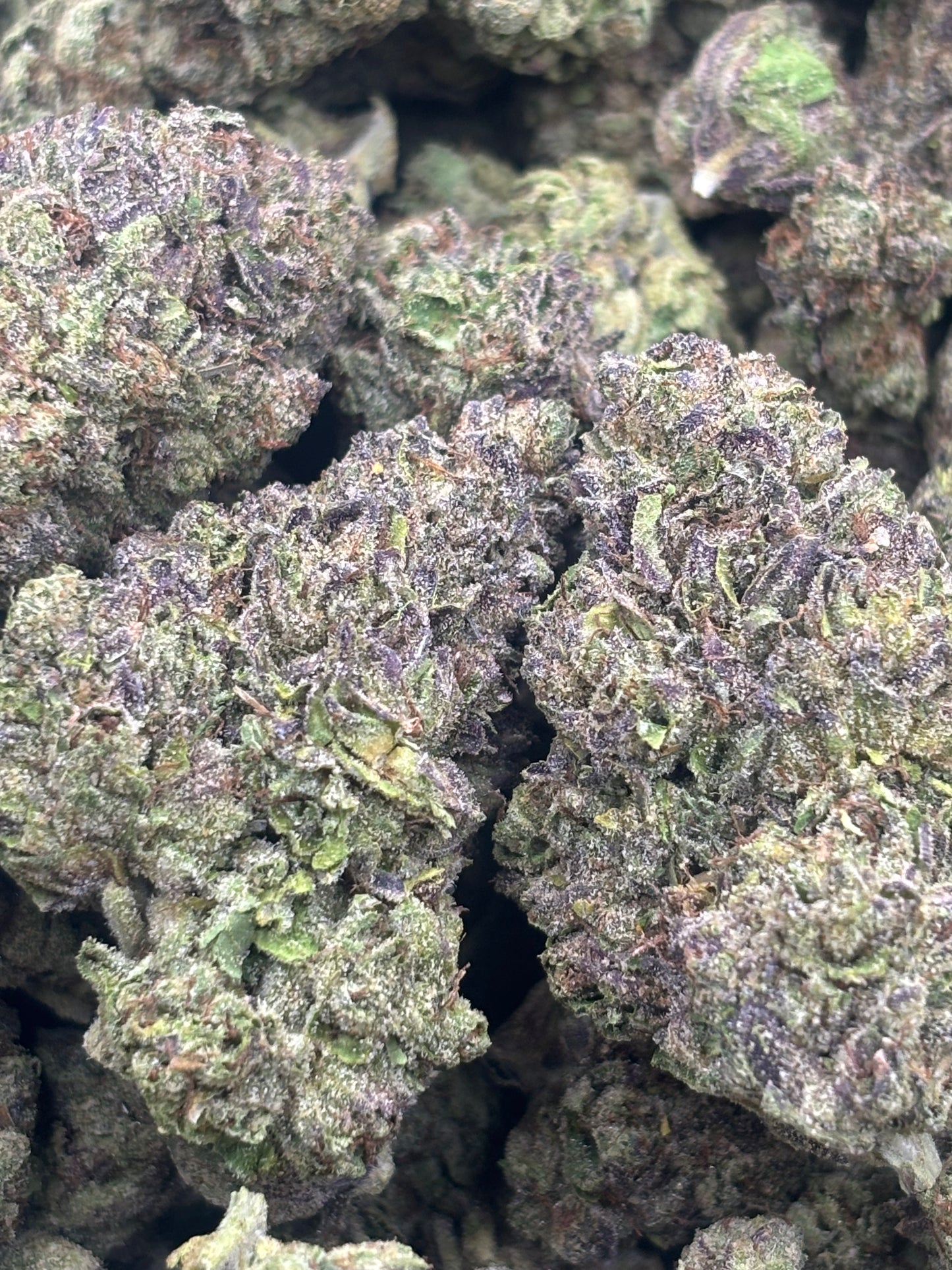 THCA Hemp - Gelato