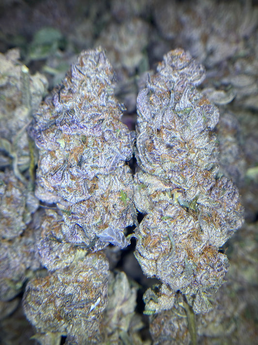 Craft Indoor THCA Hemp - Superboof Cherry