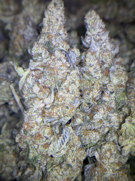 Craft Indoor THCA Hemp - Sherb Cocktail