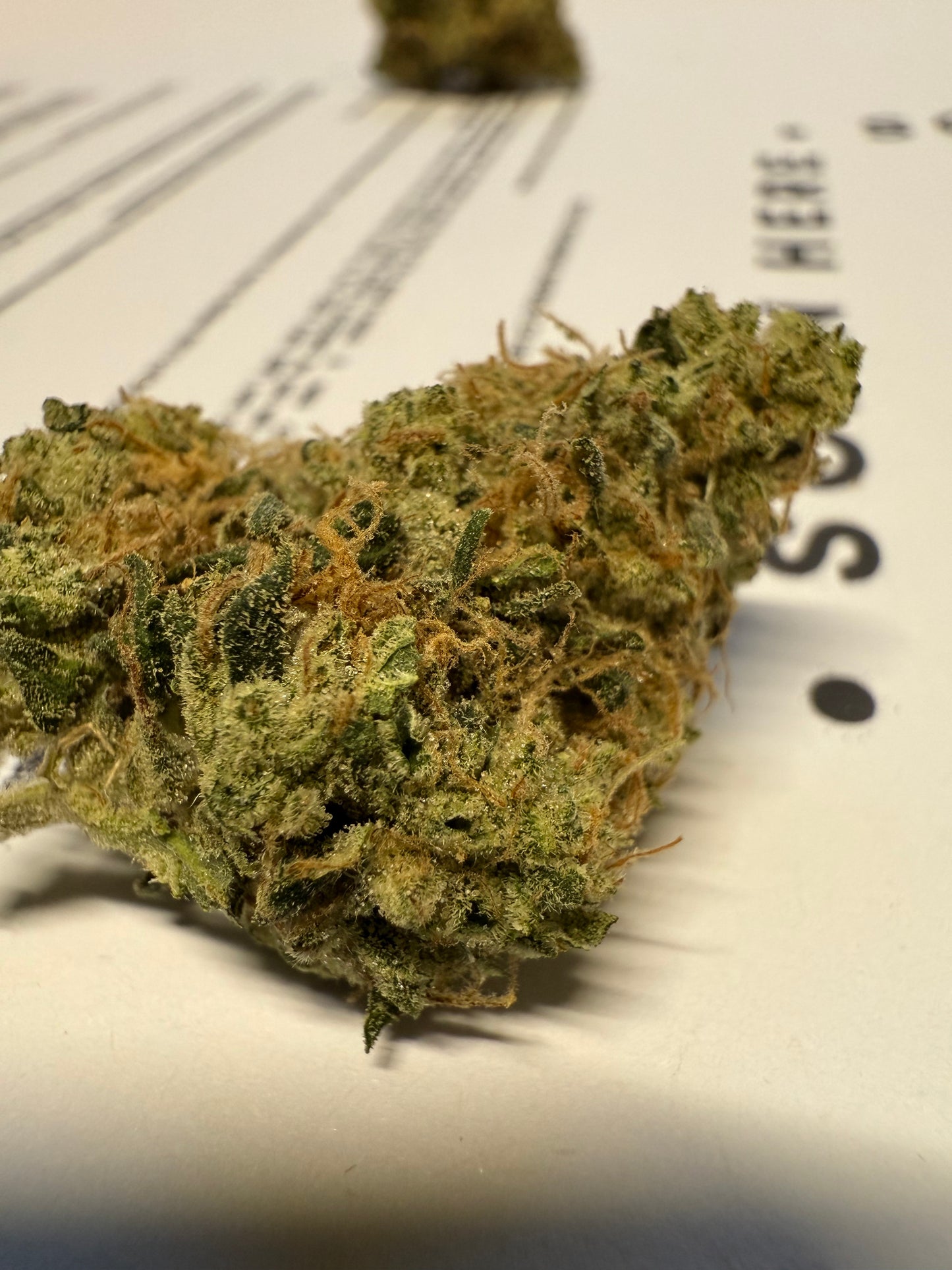 Premium Indoor THCA Hemp - Sour Diesel
