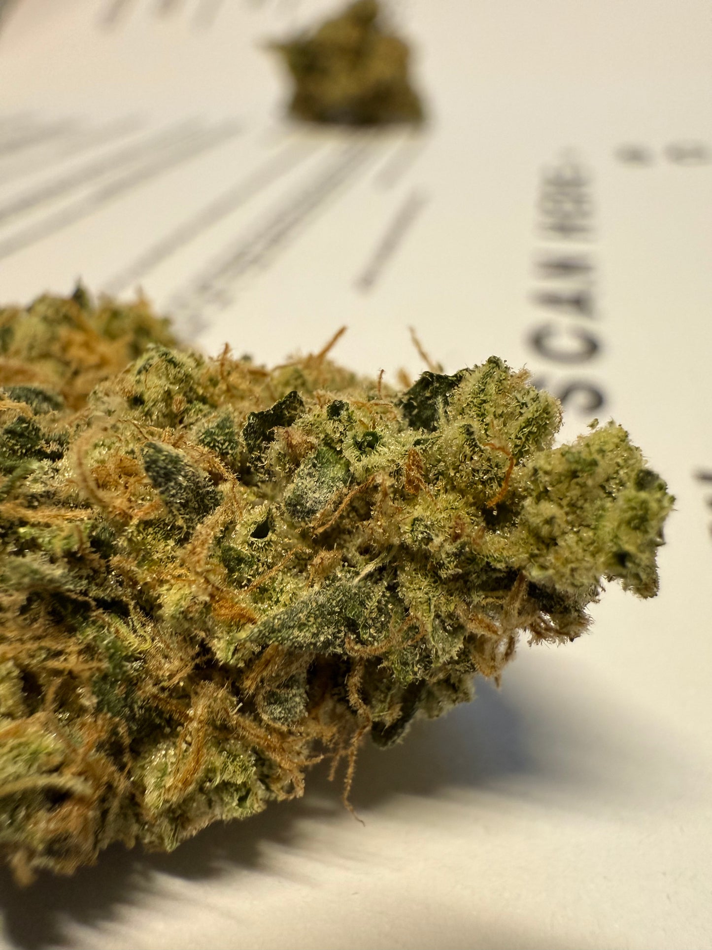 Premium Indoor THCA Hemp - Sour Diesel