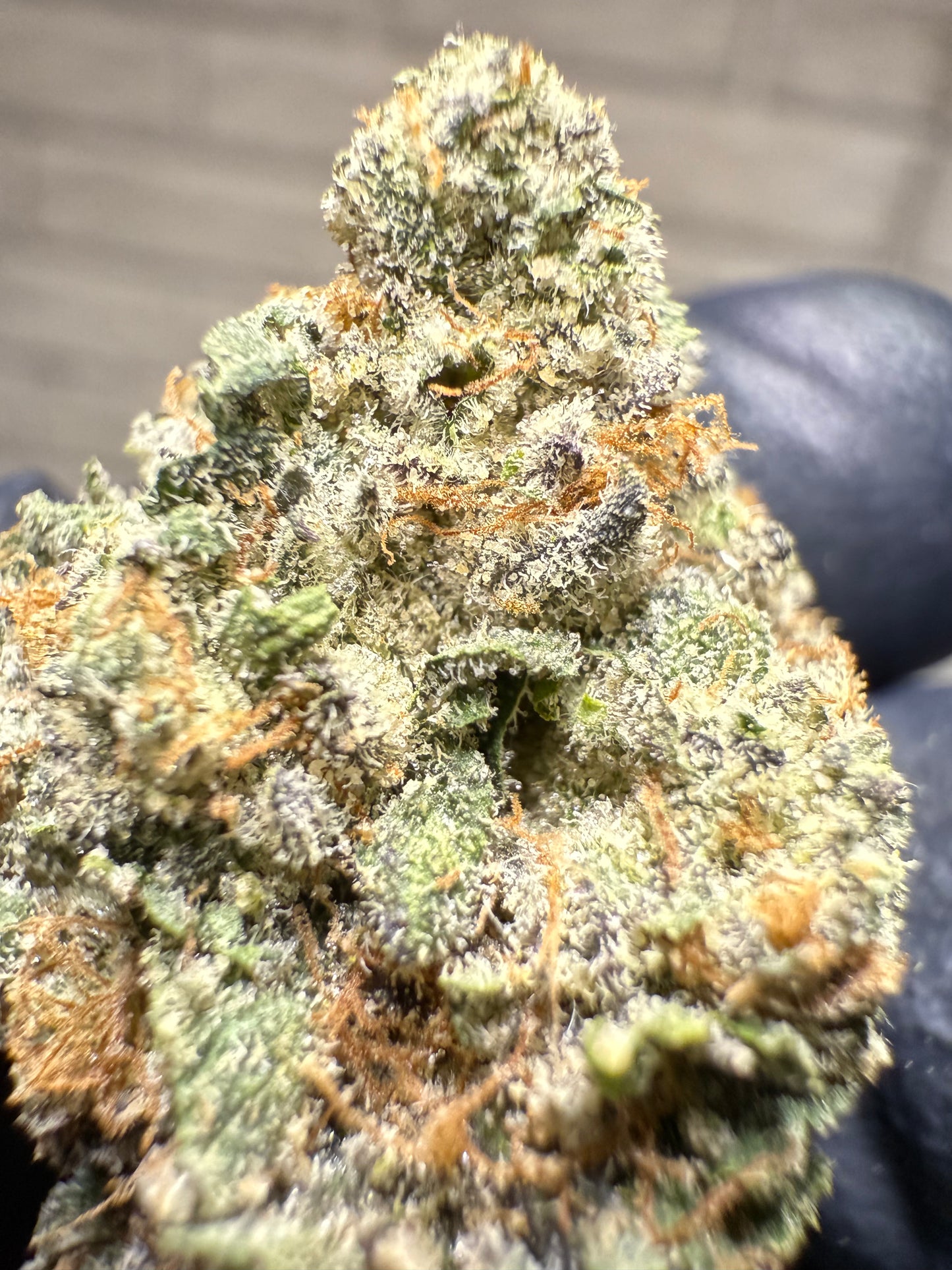 Premium Indoor THCA Hemp - Cherry Tartz