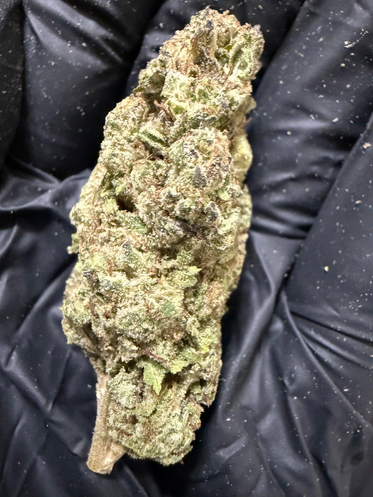 Daily Driver Hemp Flower - GushMintz