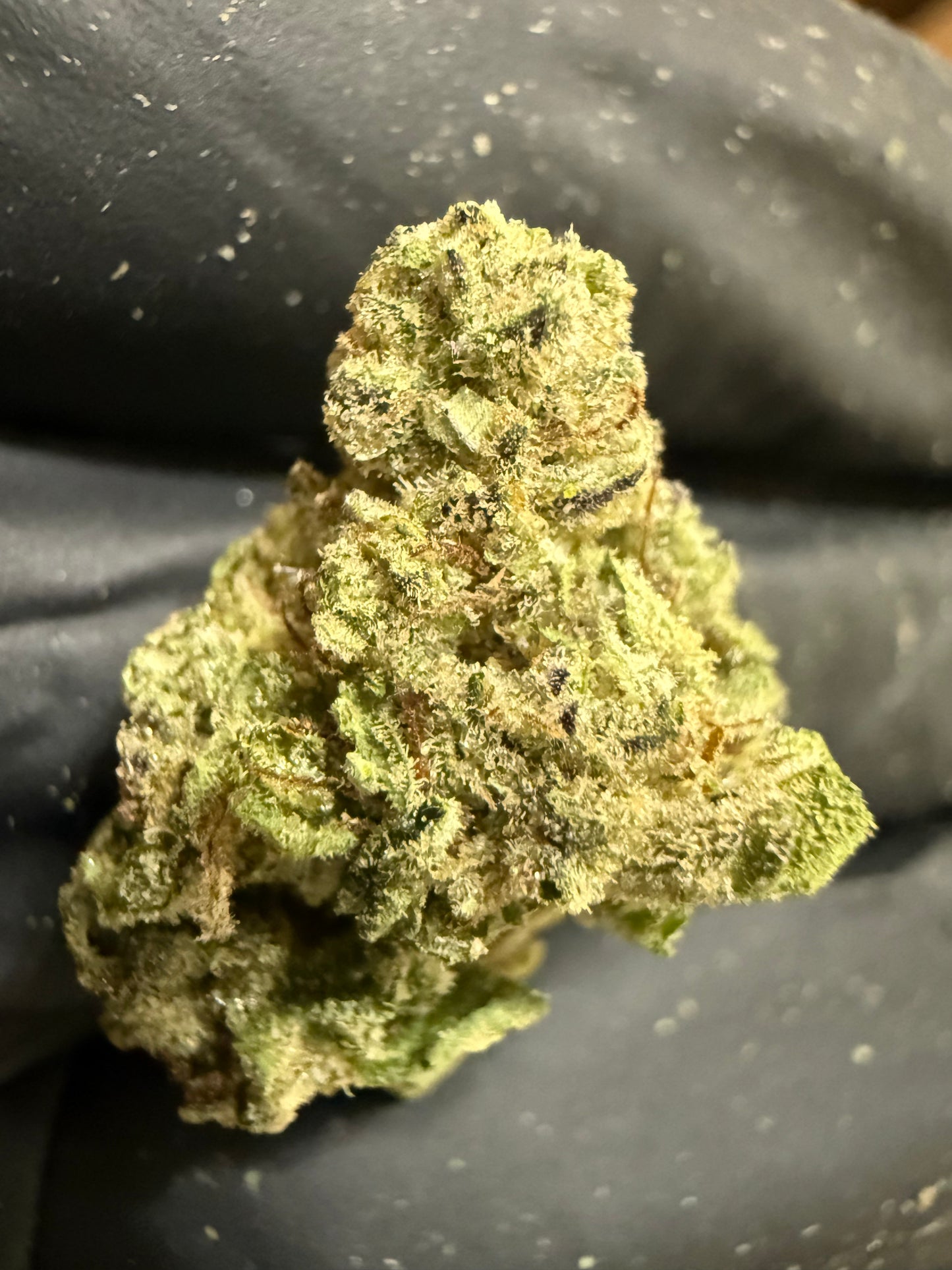 Daily Driver Hemp Flower - GushMintz