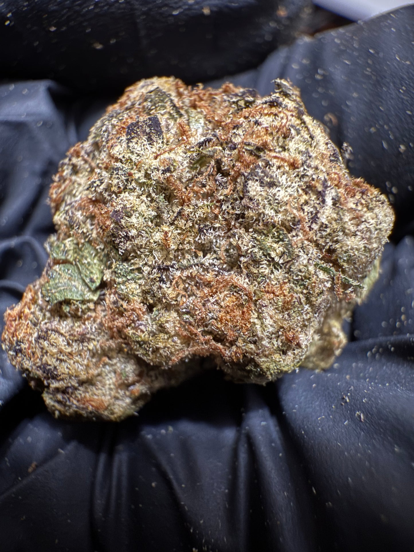 Daily Drive Hemp Flower - Orange Candy