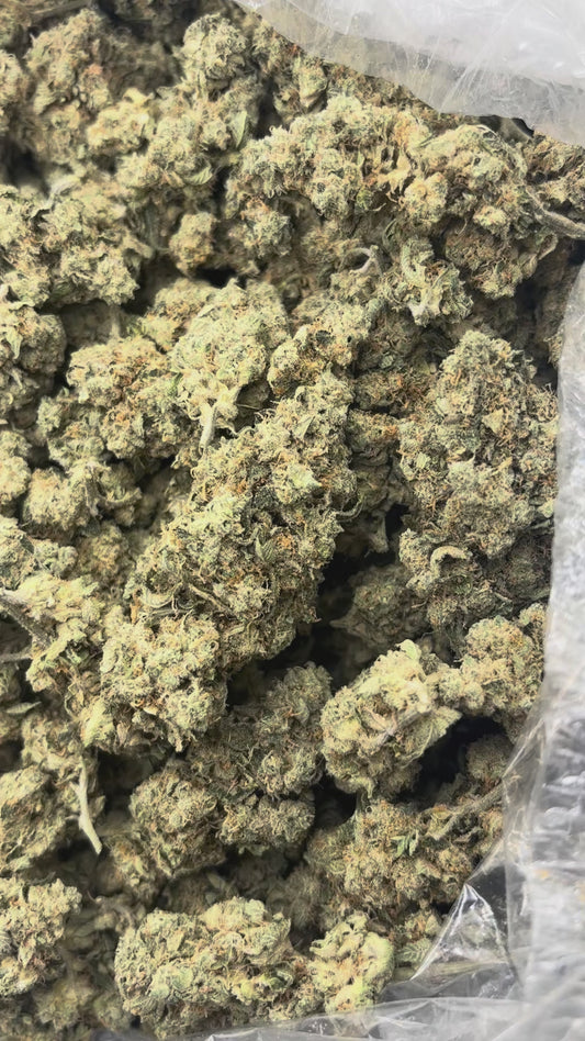 Indoor THCA Hemp - Animal Tsunami