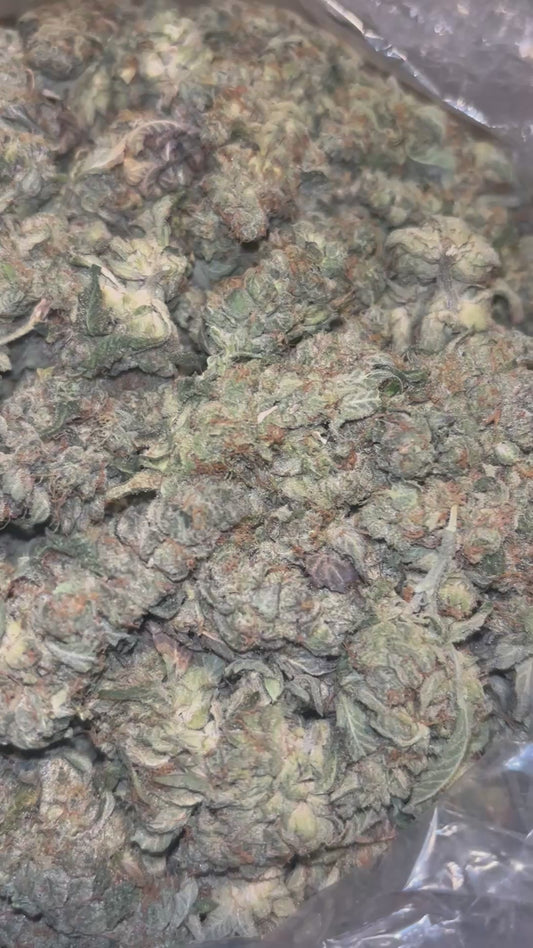THCA Exotic Indoor - Sherbaccio