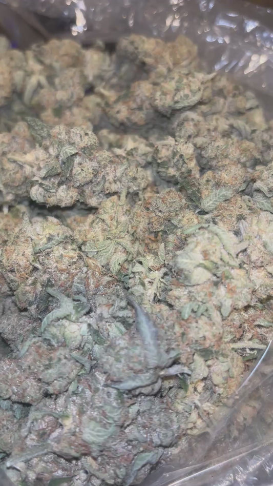 THCA Exotic Indoor - Animal Tsunami
