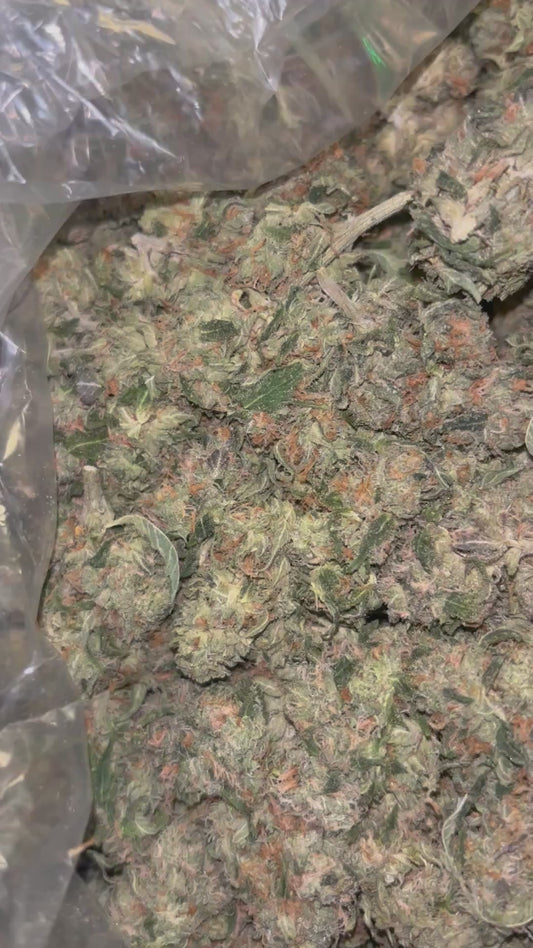 THCA Indoor - Bolo Runts